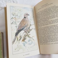 1950s-1960s 優しい色合いの鳥たち ドイツのビンテージポケット図鑑