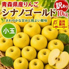 青森県産 ＂ シナノゴールド ＂りんご 加工用 20kg 産地直送 リンゴ 