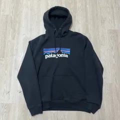パタゴニア P-6 ビックロゴ フーディー M/95