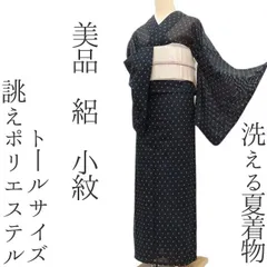 2026年最新】絽 着物 トールサイズの人気アイテム - メルカリ