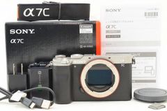 ☆極上美品☆ Sony ソニー α7C ボディ ILCE-7C 元箱 付属品 Shot数