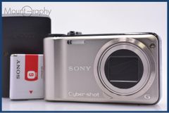 動作保証】 パナソニック Panasonic LUMIX DMC-FX01 バッテリー付属 同