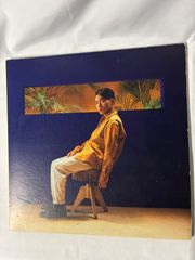 2LP レコード SIRUP FEEL GOOD シラップTendre BIM - メルカリ