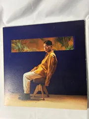 2026年最新】sirup feel good レコードの人気アイテム - メルカリ