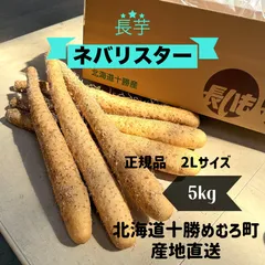 【限定20箱】2025年秋収穫 雪室貯蔵庫で低温熟成　北海道十勝産　長いも　ネバリスター　正規品　2Lサイズ　5kg