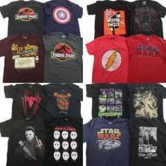 古着卸 まとめ売り 映画・ドラマ Tシャツ 16枚セット ( メンズ M