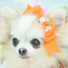 姫リボン 犬アクセ 犬のアクセサリー 犬のリボン CanNana 【きゃんナナ】LB-1001 ワンタッチアクセ 約12cm ヘアリボン 髪飾り アクセのサムネイル