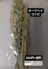 兵庫県産 自然栽培 オーツ麦 穂付き 30g インコのおやつ エサ - メルカリ
