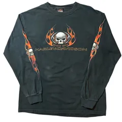 Harley-Davidson print made in USA L/s shirt / ハーレーダビッドソン プリント アメリカ製 ロンT 【F485】