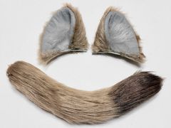 ツイステ レオナ サバナクロー ケモ耳 尻尾 コスプレ ライオン - メルカリ