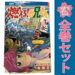 燃えるお兄さん 全巻セット 10巻以外すべて初版 中古本 少年ジャンプ
