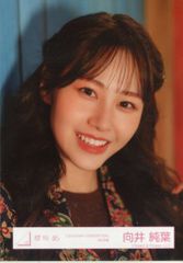 櫻坂46 向井純葉 ローソン アクスタ ブロマイド 生写真 非売品 - メルカリ