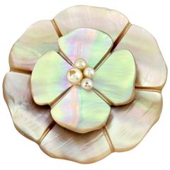 CHANEL シャネル カメリア ブローチ シェル - メルカリ