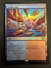MTG 甲羅を背負ったヒーロー 日本語 ボーダーレス TMC ミュータント