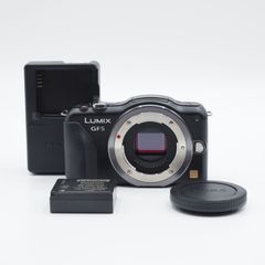 Panasonic LUMIX DMC-GF6 ジャンク品 液晶外れ 動作確認済 - メルカリ