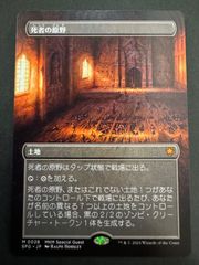 MTG 甲羅を背負ったヒーロー 日本語 ボーダーレス TMC ミュータント
