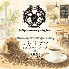 残りわずか!【トロピカルな甘さ】 ニカラグア イエローパカマラナチュラル 焙煎コーヒー豆 100gのサムネイル