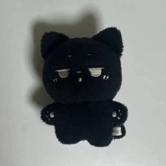 ENHYPEN ジェイ マスター ぬい 10センチ - メルカリ