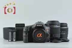 2026年最新】α65 レンズの人気アイテム - メルカリ