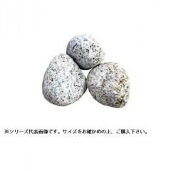 北海道産 ネマガリタケ 10kg 産地直送 チルド着払い - メルカリ
