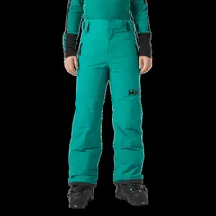 ヘリーハンセン メンズ ボトムス カジュアルパンツ Helly Hansen Legendary Pants Kids Signal Green グリーンのサムネイル