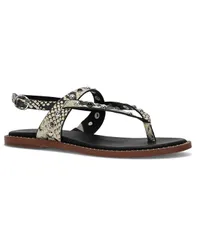 フライ レディース シューズ サンダル Frye and Co Womens Bucky Studded Thong Flat Sandalsnakembossのサムネイル