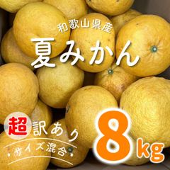 超訳あり 和歌山県産 夏みかん 8キロ サイズ混合 有田みかん フルーツ3