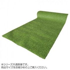 新品 人工芝 ミドルプラス 1m×10m 芝丈25mm - メルカリ