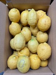 訳あり！産地直送 広島県蒲刈産レモン 1kg - メルカリ