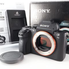 美品】《 ショット数29100 回》SONY(ソニー) フルサイズ ミラーレス