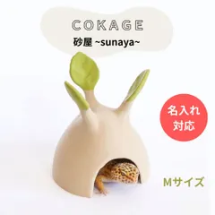 【爬虫類シェルター 砂屋 】多肉植物風 レオパ かわいい隠れ家 名入れ+690円のサムネイル
