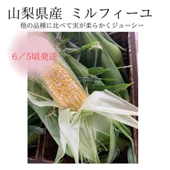 残り3箱🌽限定販売‼️フォロワー様限定100円引きクーポン発行中✨山梨県産とうもろこし/ミルフィーユ/2L12本入/甘くて美味しい/柔らかい/旬野菜/食育/ぶんぷくオススメ/今だけのサムネイル