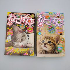 ねこぱんち 13周年号 - メルカリ