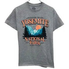 DOM 半袖 プリントTシャツ M グレー プルオーバー クルーネック ビックプリント YOSEMITE NATIONAL PARK カットソー 夏物 a806-5070