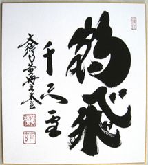 掛け軸 掛軸 雲上観音◇野口弧堂 (真作・中古) 共箱・タトウ箱付