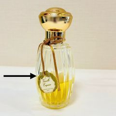ANNICK GOUTAL Passion 100mlEDP - メルカリ