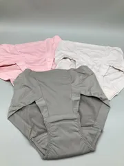 ★新品未使用★ TEIJIN　吸水消臭ショーツ ３枚セット 尿漏れケア　抗菌防臭加工　ピンク ホワイト グレーのサムネイル