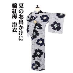 二重紗 訪問着 正絹 薄緑 ベージュ 蝶 笹 流水 よろけ縞 Mサイズ 