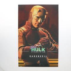 ホットトイズ TMS154 ボーン・アゲインデアデビル1/6 daredevil - メルカリ