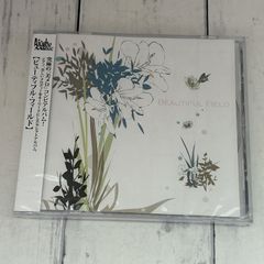 Beautiful Field/リトル・ウエスト.ジェットビート.クエーサー：新品未