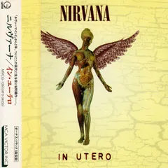 2026年最新】nirvana in utero レコードの人気アイテム - メルカリ