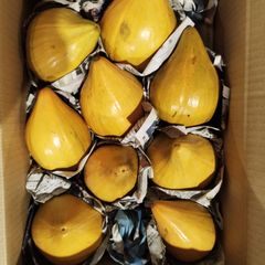 沖縄産 摘果マンゴー 青マンゴー 5kg - メルカリ