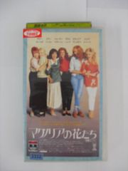 목련의 꽃들 [자막판] [VHS]