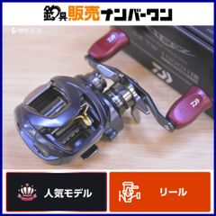 ダイワ トーナメントサーフ ベーシア 45 Ⅱ 極細仕様 DAIWA/TOURNAMENT