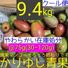 2026年最新】摘果マンゴーの人気アイテム - メルカリ
