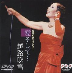 韓国ドラマ「愛してたみたい～すべてを奪われた女～ 」DVD-BOX1-4