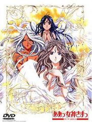 仲間由紀恵セット】『サキ』&『美しい隣人』DVD Box - メルカリ