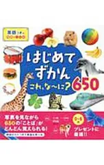 はじめてずかんこれ、な〜に?650 英語つきの写真とことば／永岡書店のサムネイル