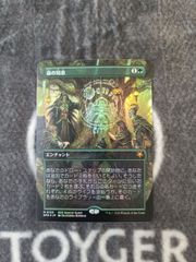 MTG 森の知恵 日本語 ボーダーレス FOIL版 1枚 - メルカリ
