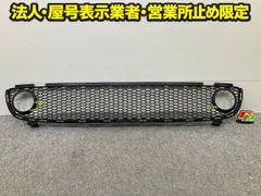 新品!ザ・ビートル 16系/16CBZ 純正 フロント グリル/ラジエーターグリル 1 C0 807 681G 1C0807681G01C 素地 フォルクスワーゲン(148328)のサムネイル